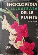 Enciclopedia illustrata delle piante