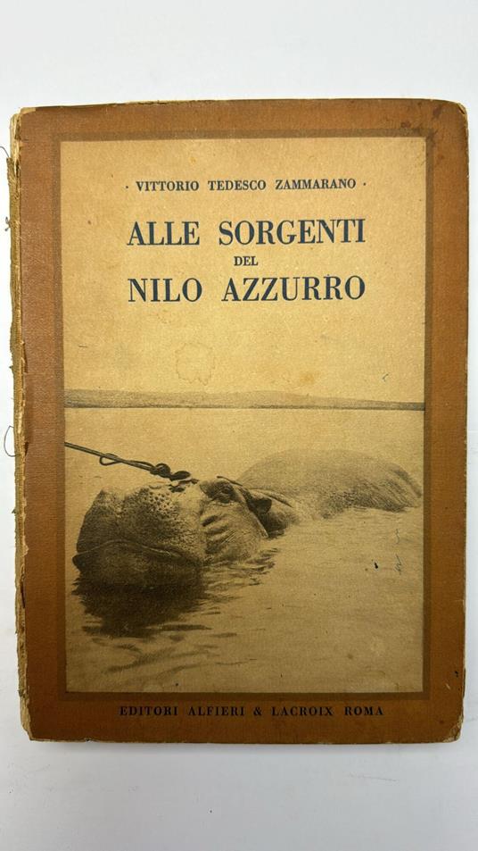 Alle sorgenti del Nilo azzurro - Vittorio Tedesco Zammarano - copertina