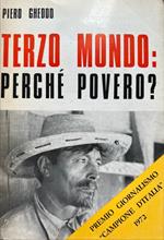 Terzo Mondo: perché povero?