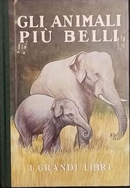 Gli animali più belli - copertina