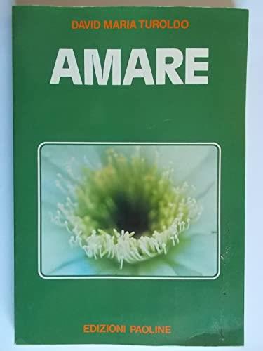 Amare - David Maria Turoldo - copertina