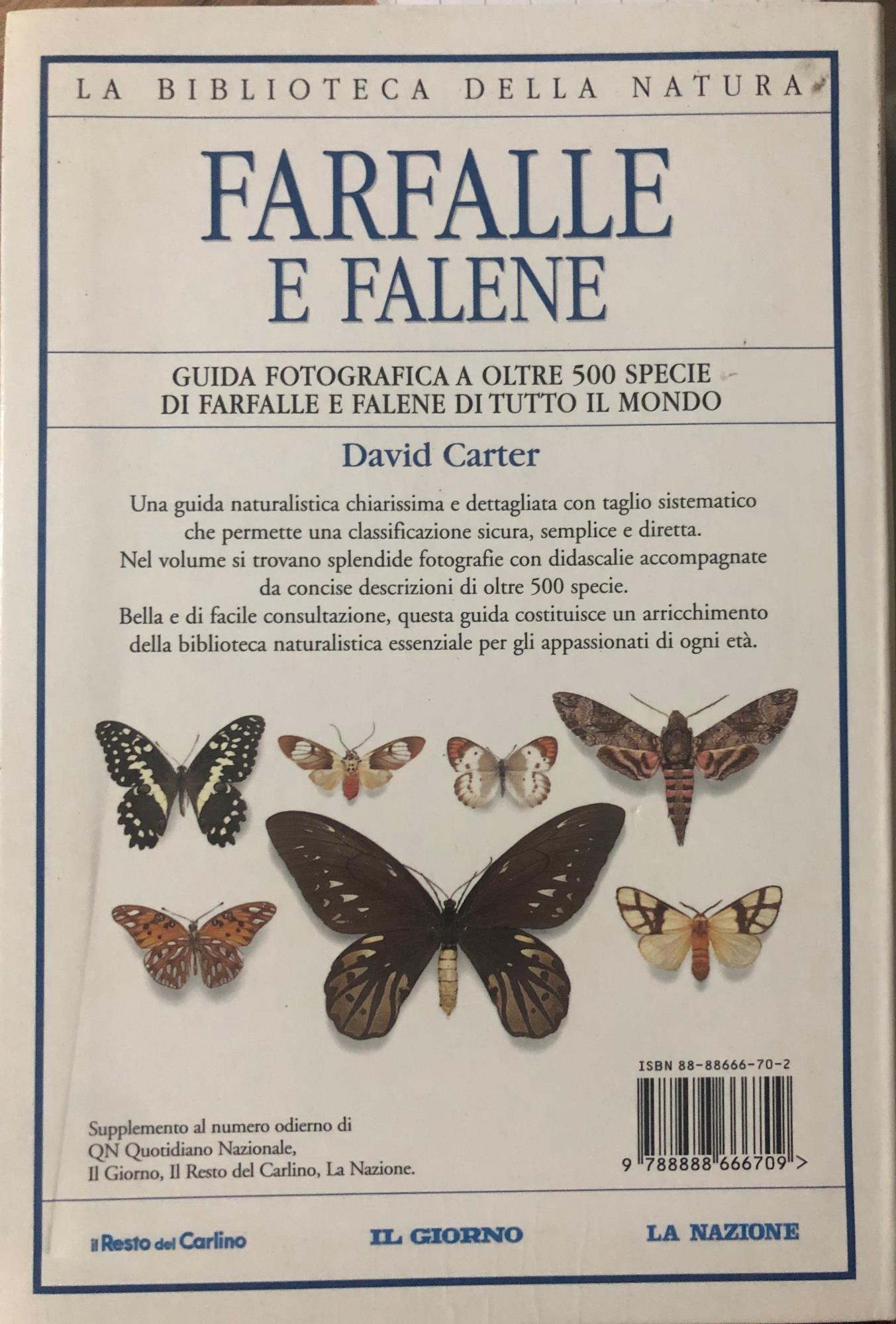Farfalle e falene
