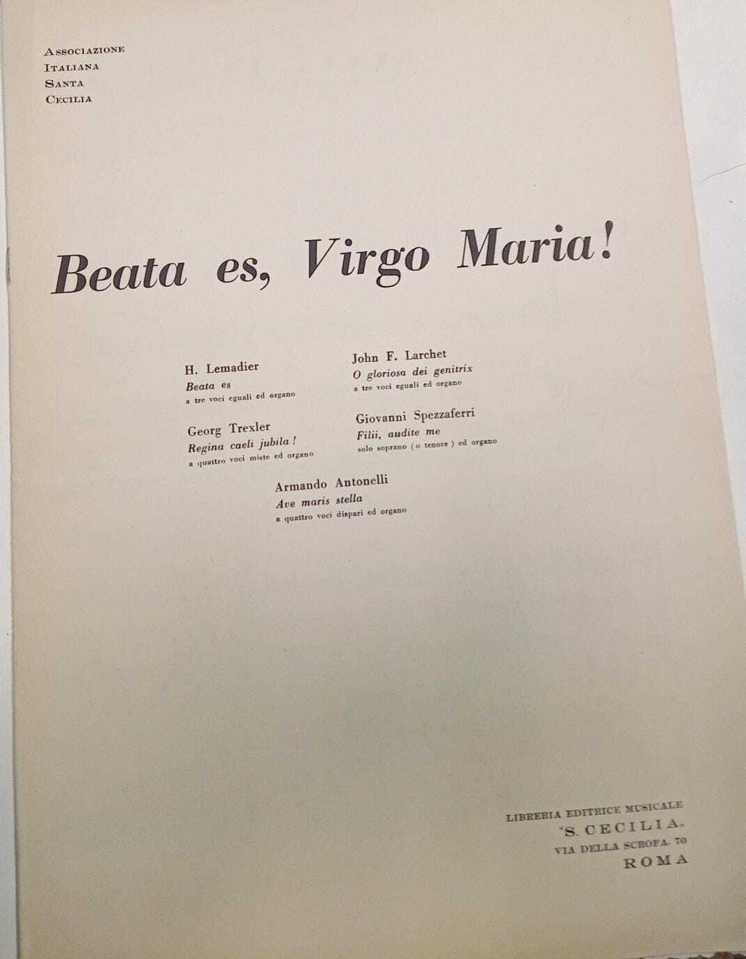 Libreria del Professore
