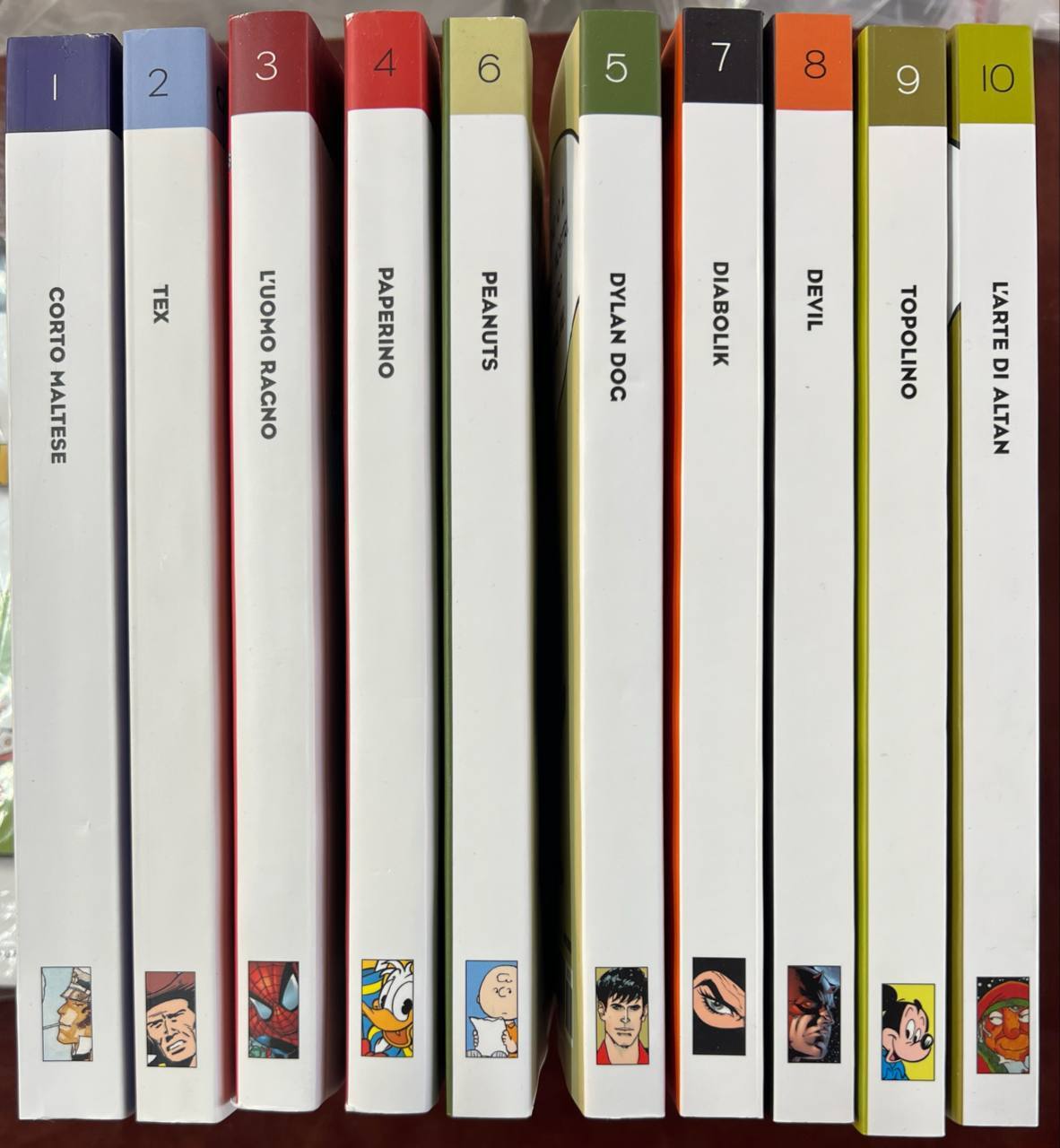 Libreria del Professore