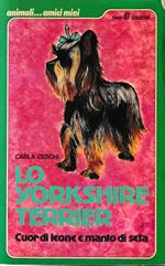 Lo Yorkshire Terrier