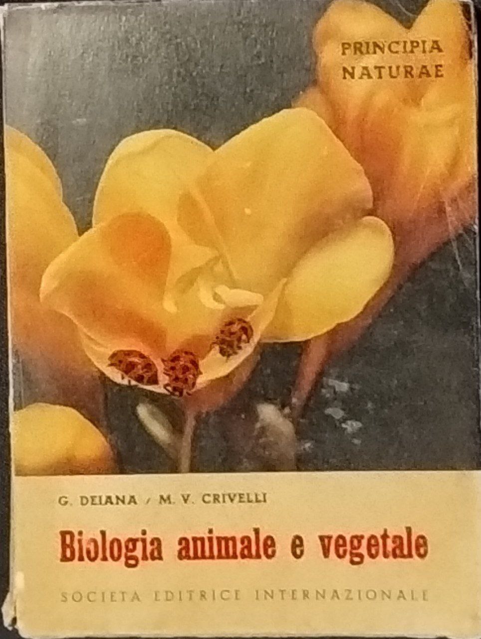 Librisaggi
