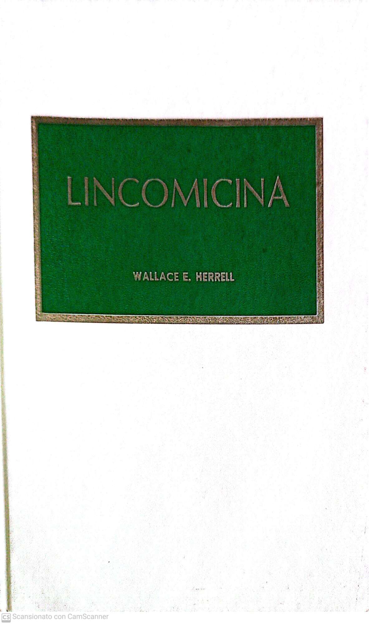 Librisaggi