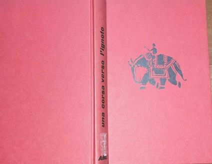 Una corsa verso l'ignoto - copertina