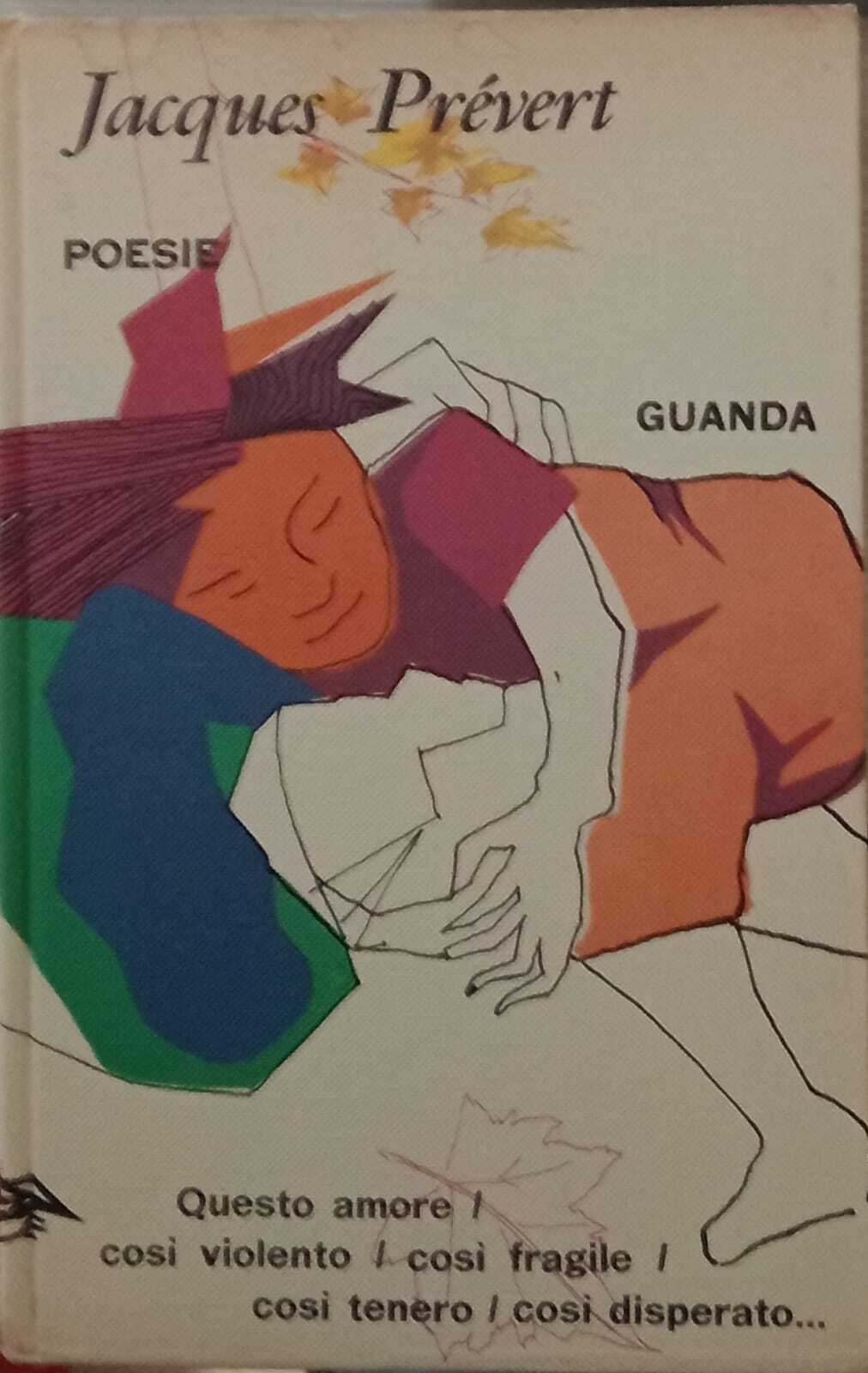 Libreria del Professore