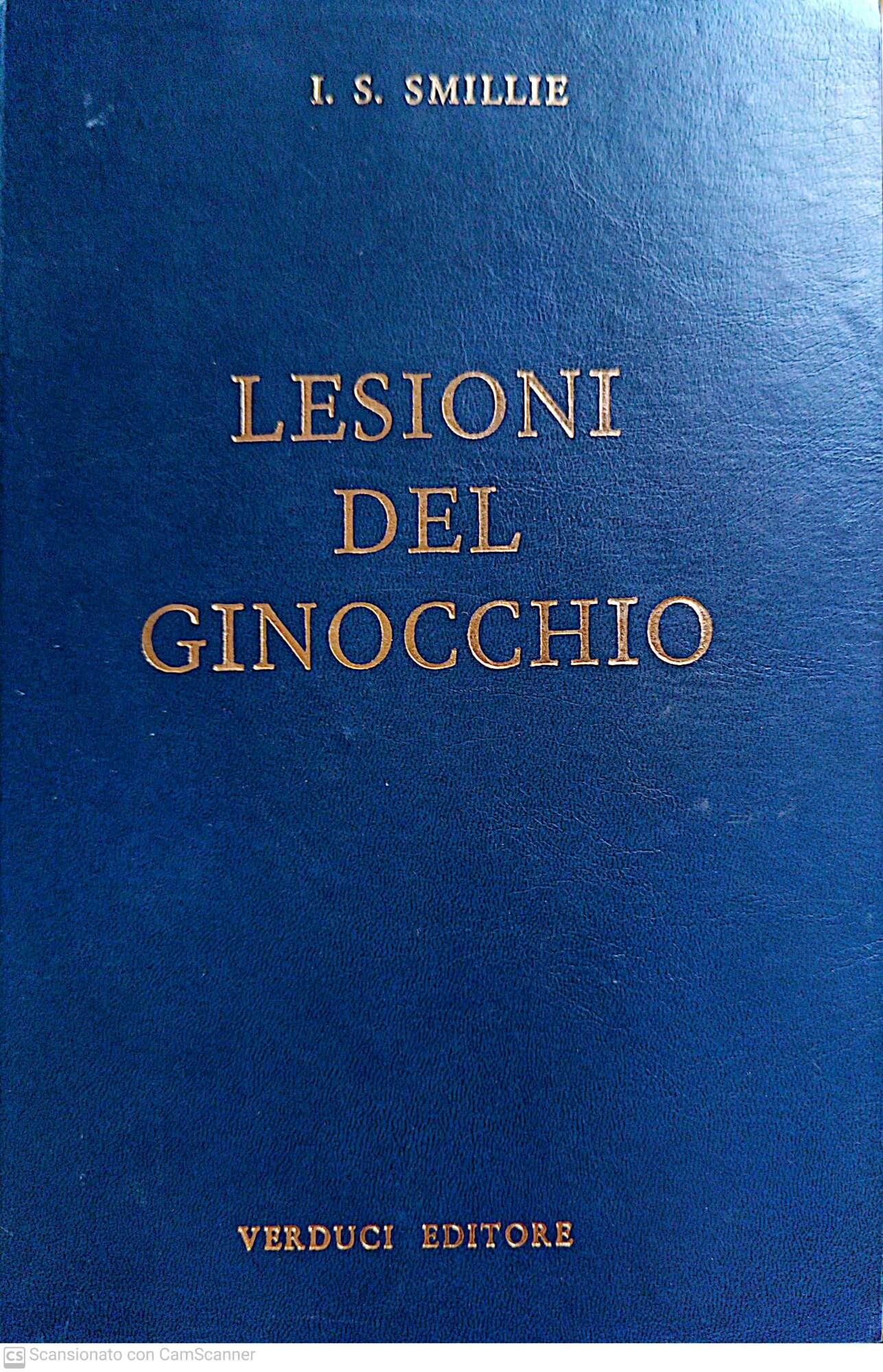 Librisaggi