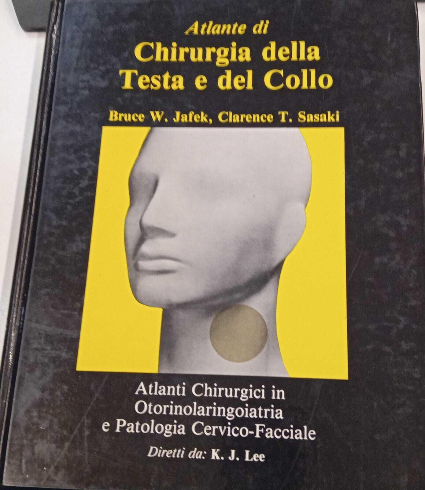 Librisaggi