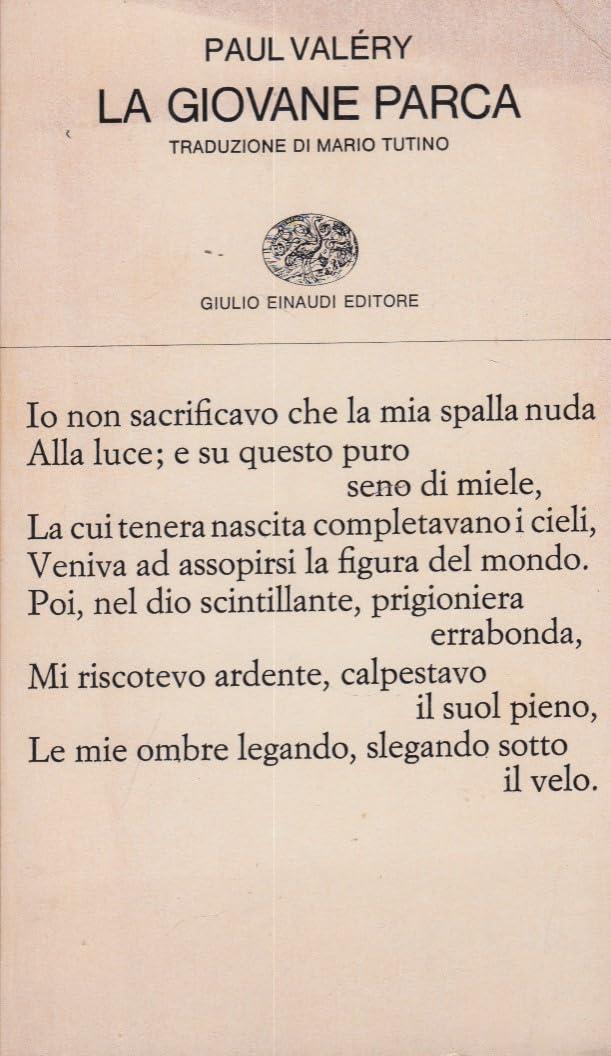 Librisaggi