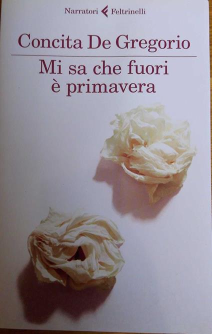 Mi sa che fuori è primavera - copertina