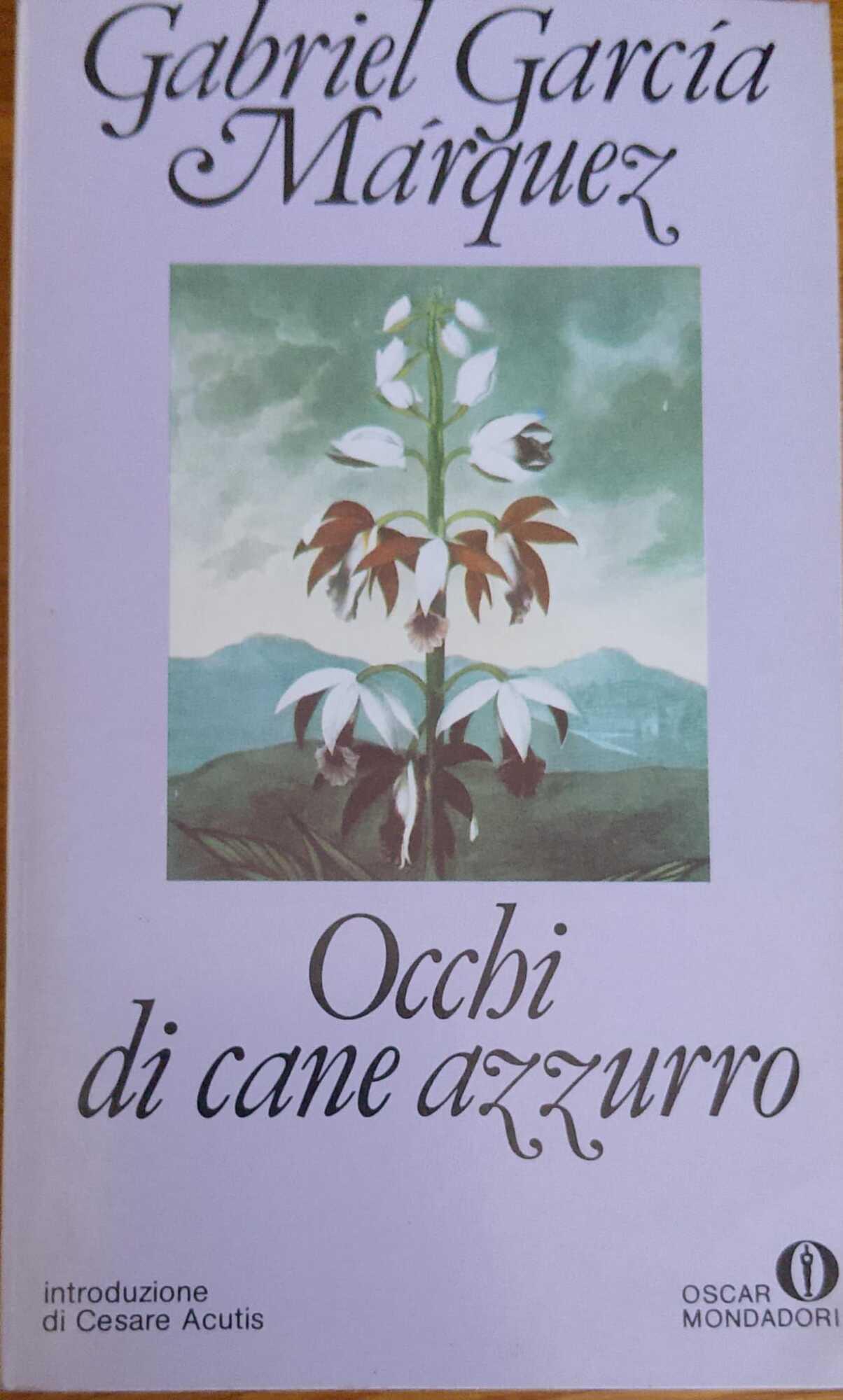 Librisaggi