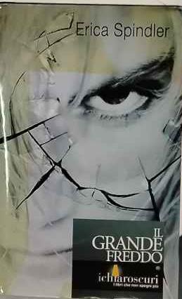 Il grande freddo - Erica Spindler - copertina