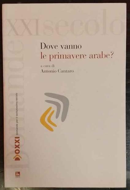 Dove vanno le primavere arabe? - copertina