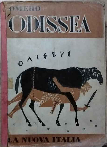 Librisaggi