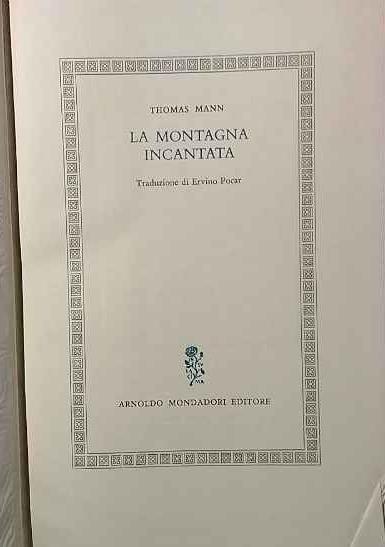 La montagna incantata - Thomas Mann - copertina