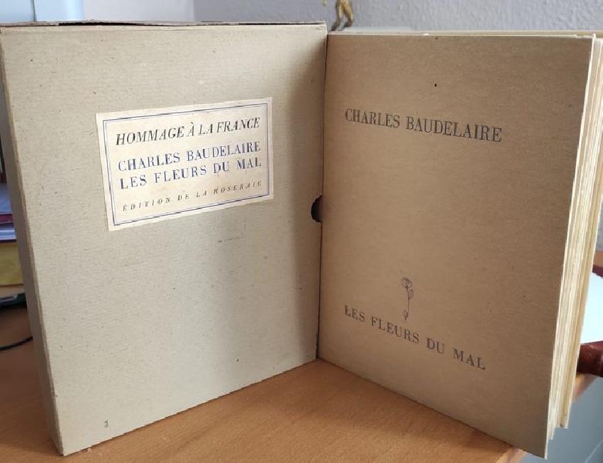 Studio Bibliografico Viborada