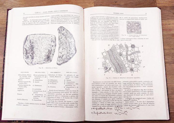 Botanica farmaceutica. Bescrizione delle piante medicinali e caratteri farmacognostici delle droghe della farmacopea ufficiale, con cenni descrittivi sulle fanerogame velenose della flora italiana : ad uso degli studenti universitari, dei medici e de