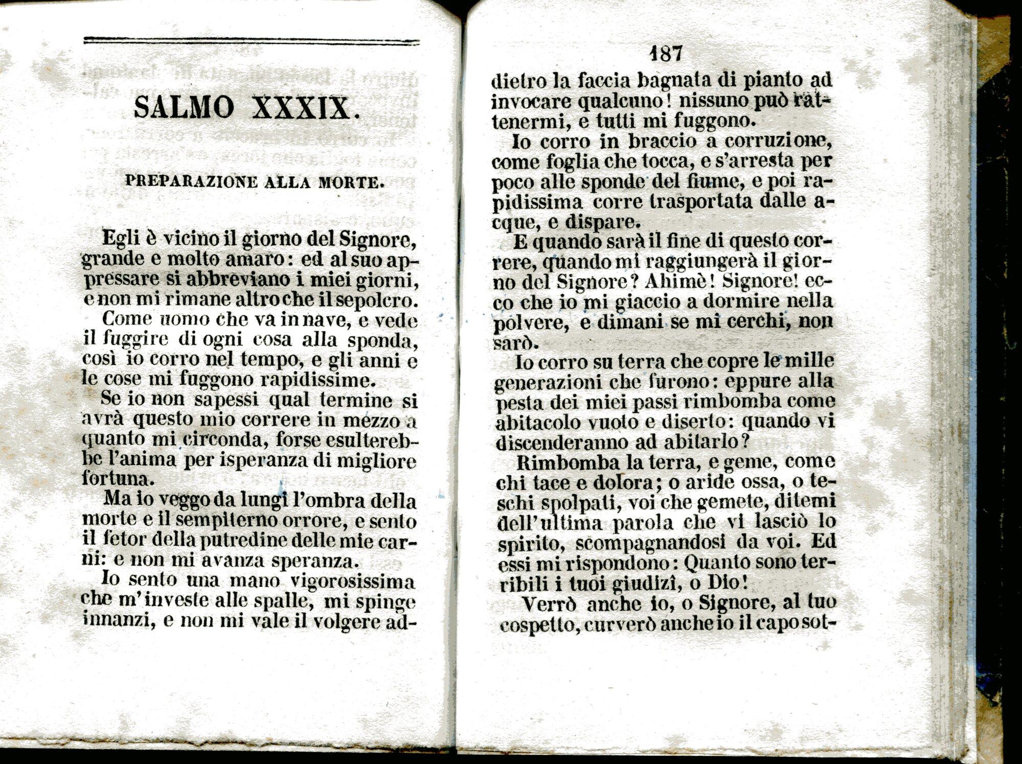 Studio Bibliografico Viborada