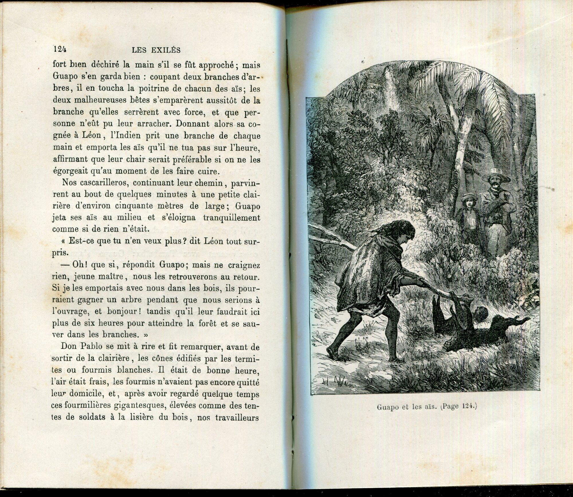 Studio Bibliografico Viborada