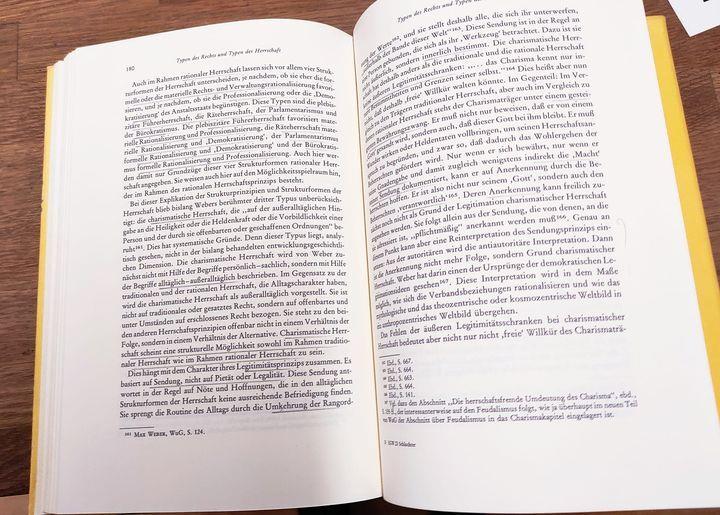 Die Entwicklung des okzidentalen Rationalismus. Eine Analyse von Max Webers Gesellschaftsgeschichte. Die Einheit der Gesellschaftswissenschaften Bd. 23
