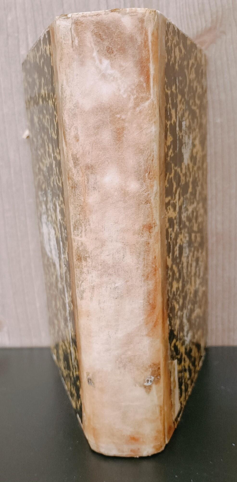 Studio Bibliografico Viborada