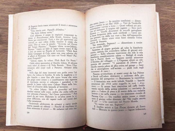 La morbida macchina, introduzione di Giansiro Ferrata