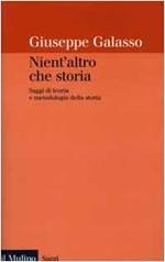 Nient'altro che storia. Saggi di teoria e metodologia della storia
