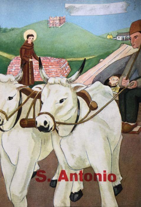 Sant'Antonio da Padova. L'araldo della Gloriosa Signora - copertina