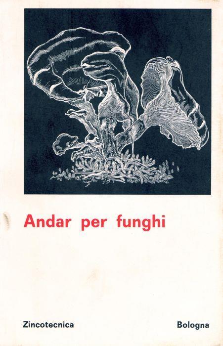 Andar per funghi. Da acquarelli di Vincenzo Ottaviani (1790-1853) - copertina