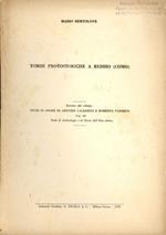 Tombe protostoriche a Rebbio (Como)