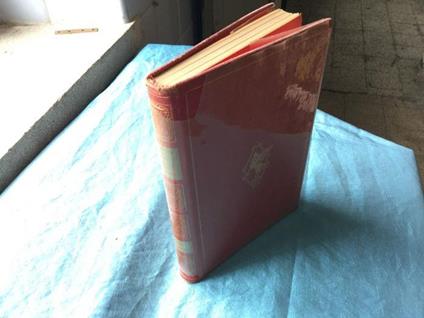 Storia della letteratura provenzale moderna - Alberto Del Monte - copertina