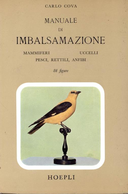 Manuale di imbalsamazione : mammiferi, uccelli, rettili, anfibi e pesci - Carlo Cova - copertina