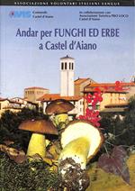 Andar per funghi ed erbe a Castel d'Aiano