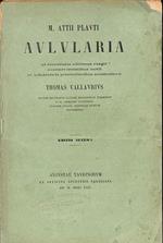 Aulularia