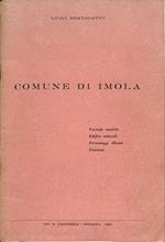 Comune di Imola : vicende storiche, edifici notevoli, personaggi illustri, frazioni