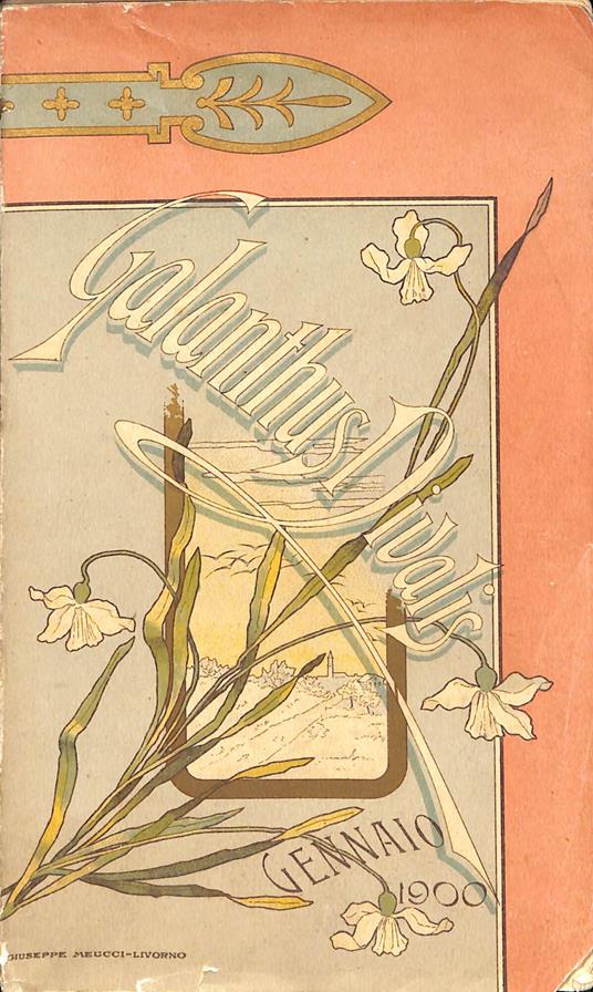 Galanthus nivalis : Versi e prose raccolti da Mariano Test - copertina