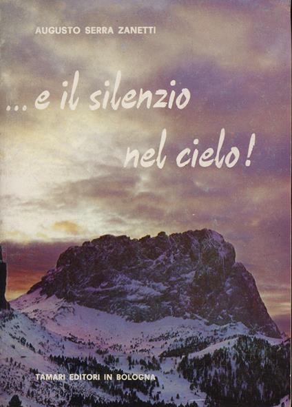 ...e il silenzio nel cielo - copertina
