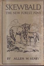 Skewbald The New Forest Pony