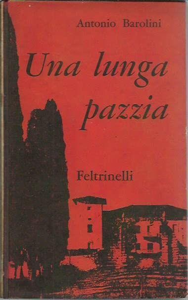 Una lunga pazzia. Biblioteca di letteratura. I contemporanei 35 - copertina