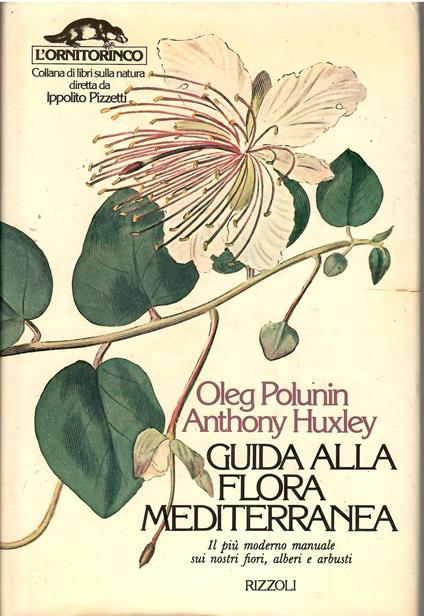 Guida alla flora mediterranea - copertina