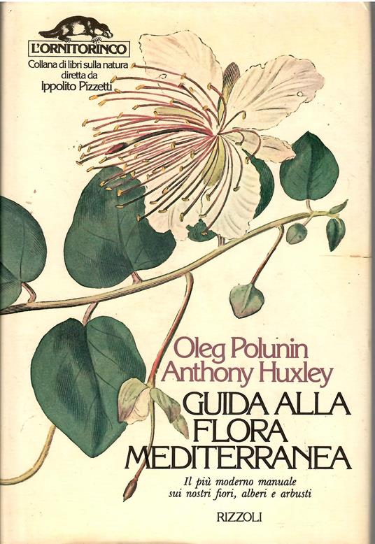 Guida alla flora mediterranea - copertina