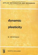 Dynamic Plasticity