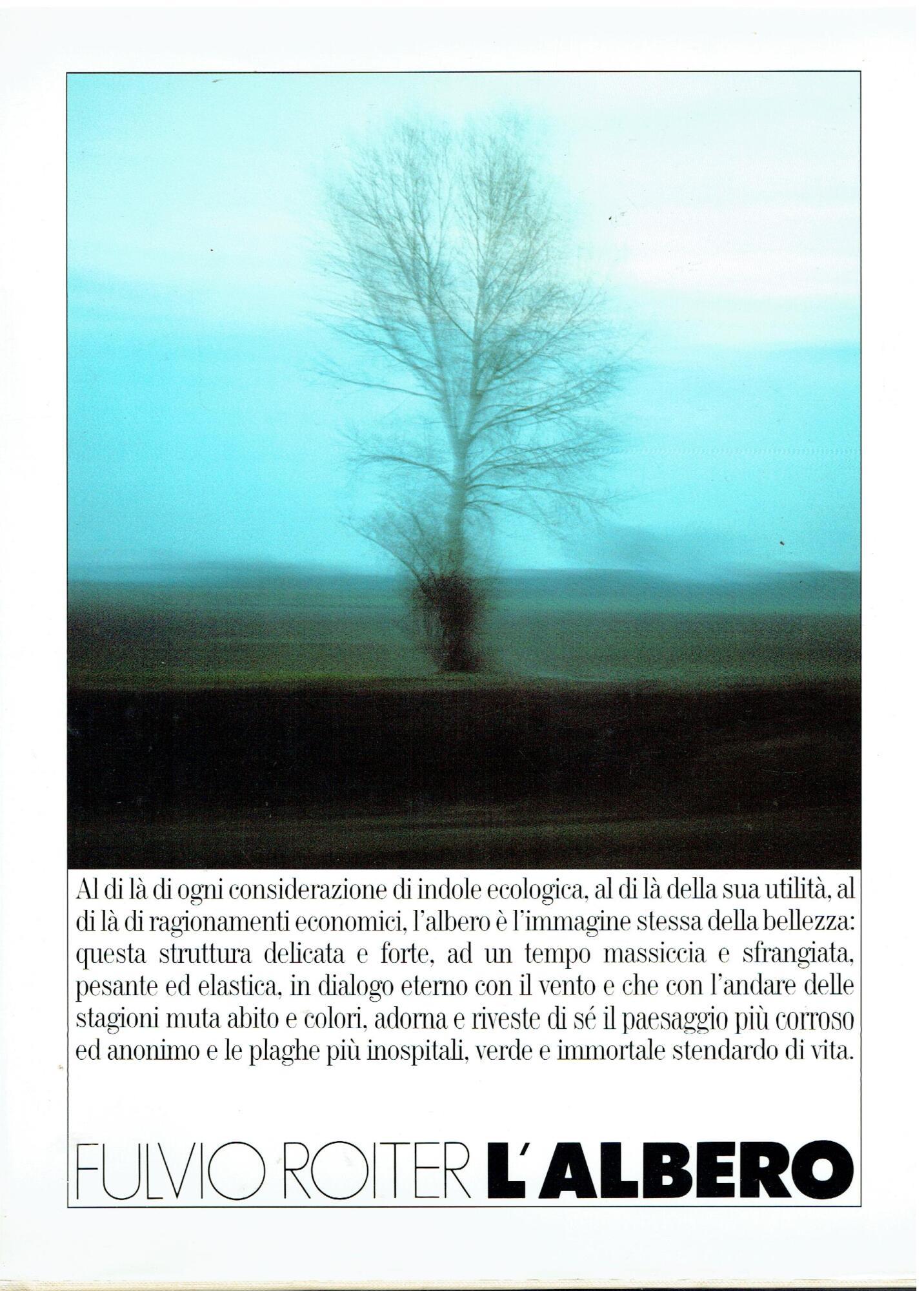 Libreria sottomarina