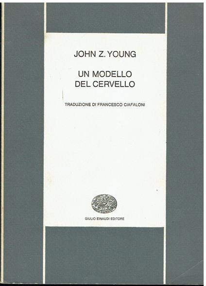 Un modello del cervello - copertina