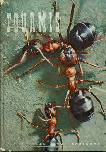 F.E.N. Libreria
