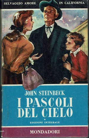 F.E.N. Libreria