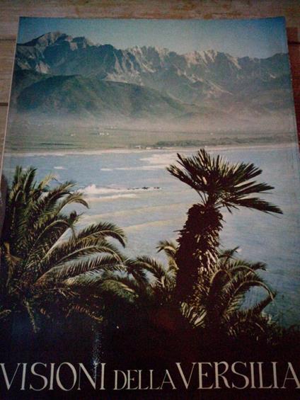 Visioni Della Versilia - copertina